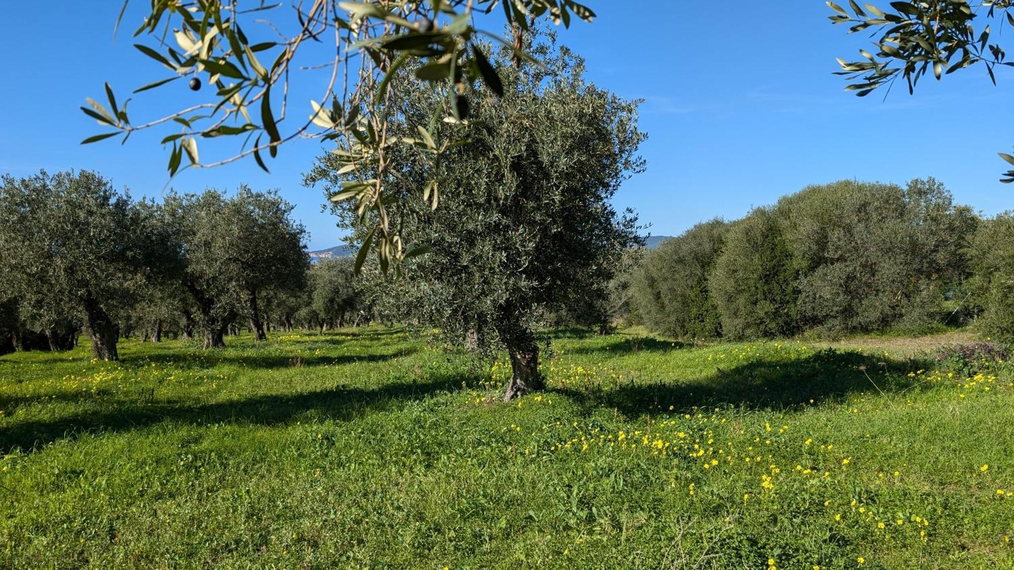 Casale Valverde Alghero Luaran gambar